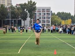 [德甲]凯恩帽子戏法 拜仁4-1霍芬海姆开赛四连胜