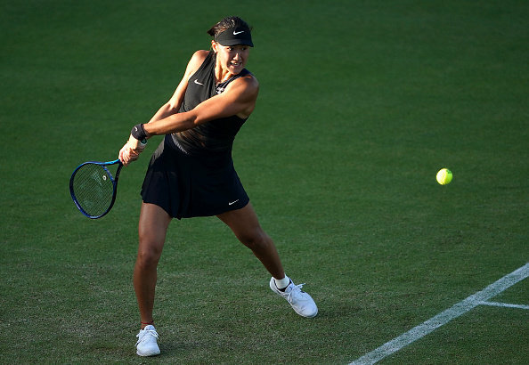 的许多亮点 的许多亮点